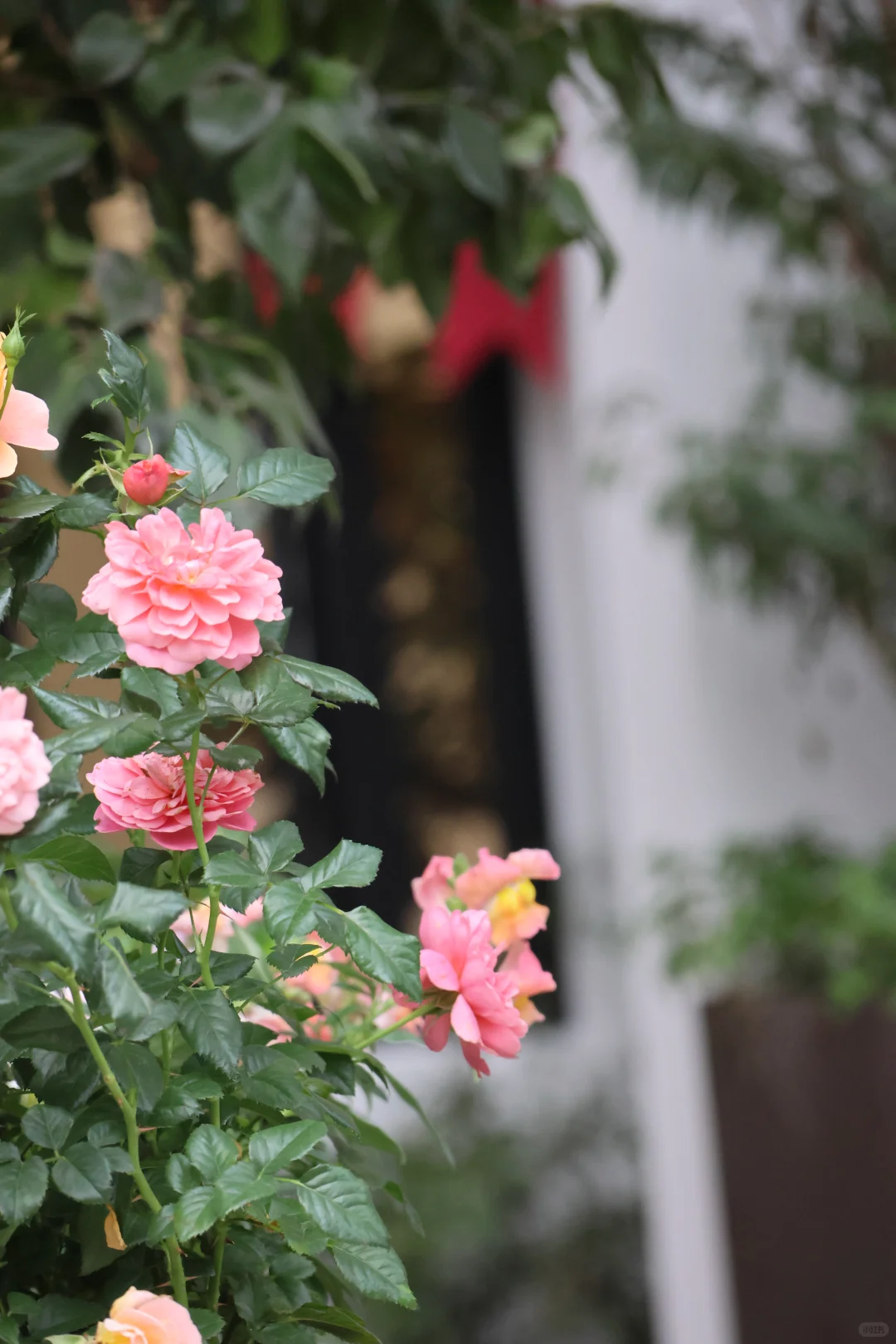 大足咖啡店招聘