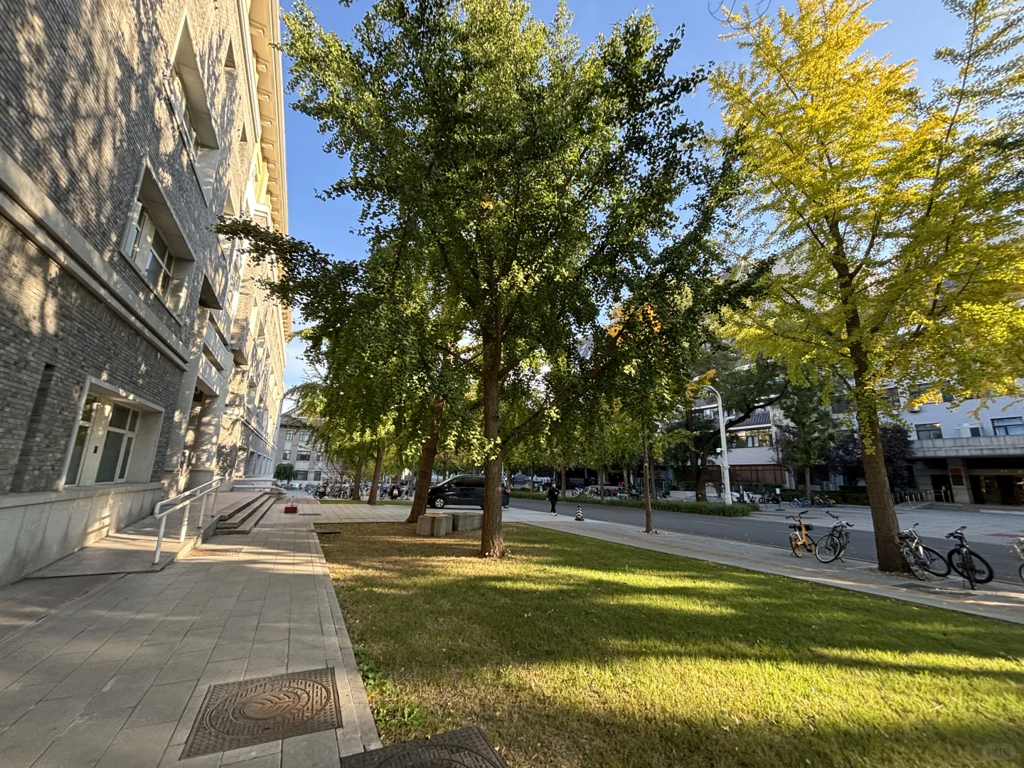 统计学老师完全长在审美上！