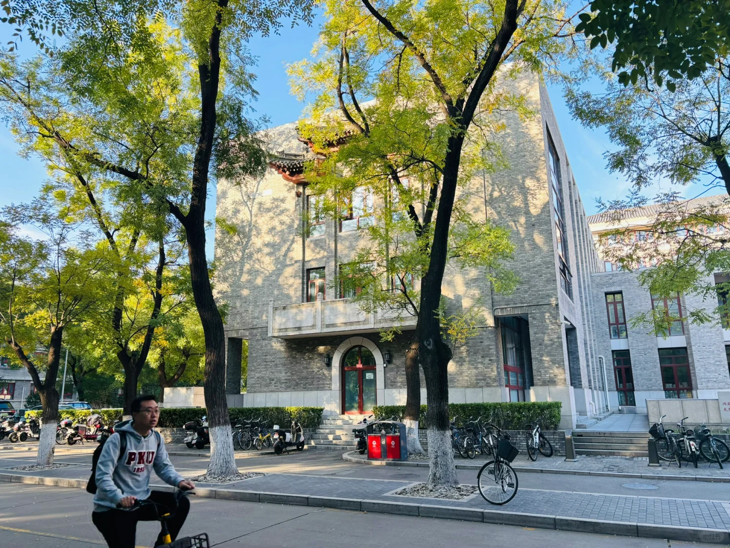 统计学老师完全长在审美上！