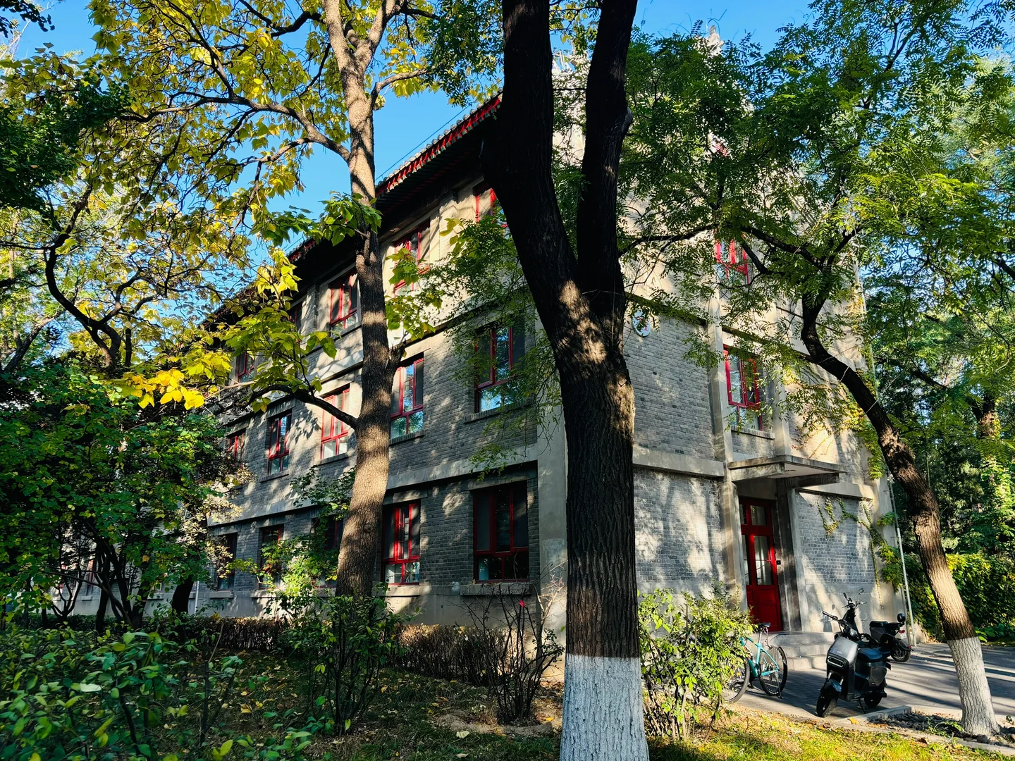 统计学老师完全长在审美上！