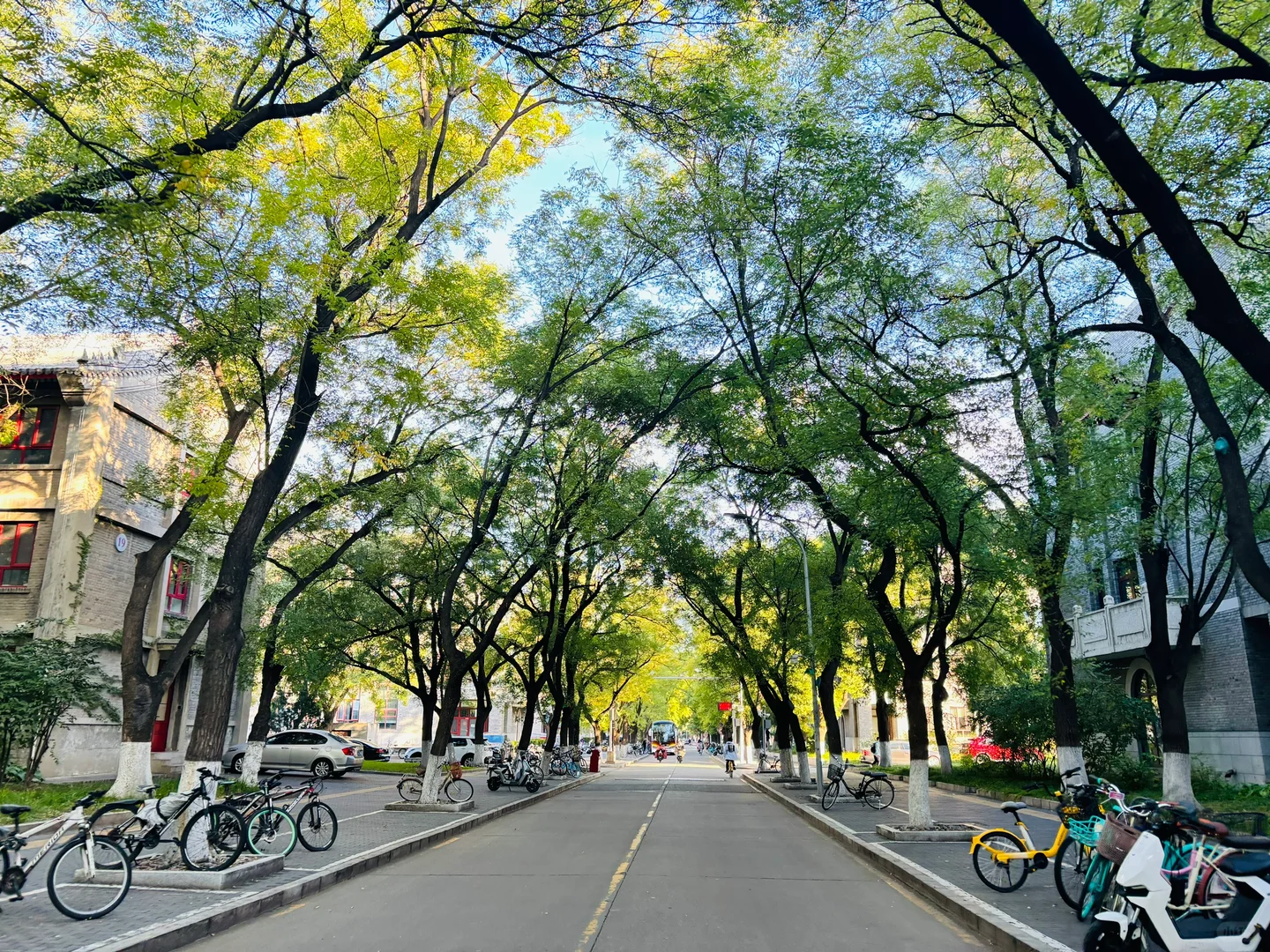 统计学老师完全长在审美上！