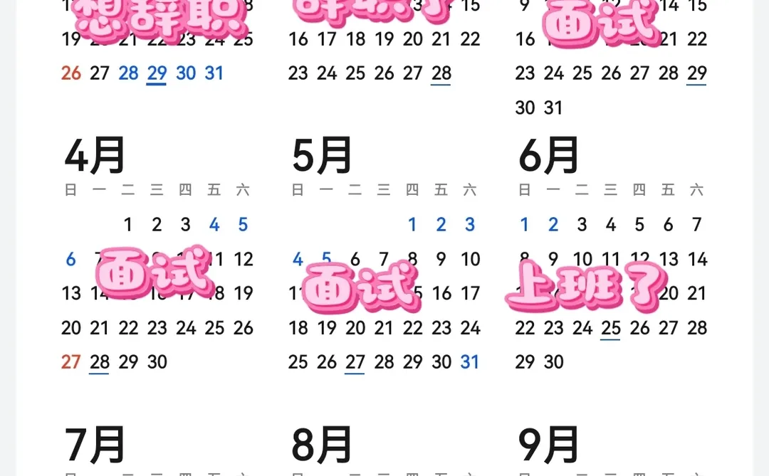 我的2025年终总结