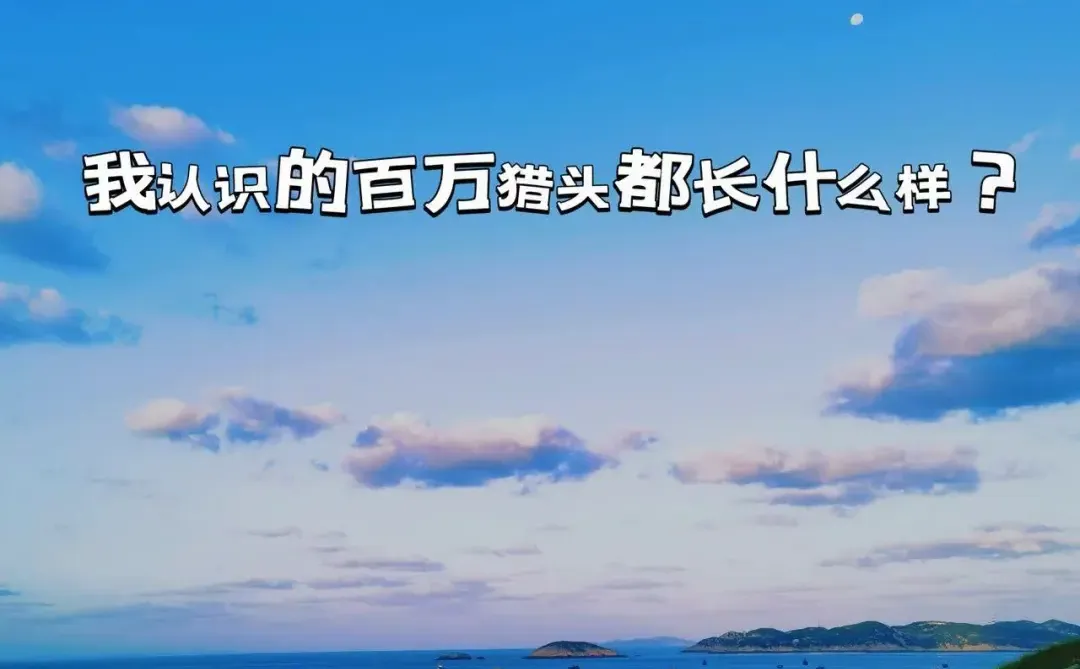 我认识的百万猎头都长什么样？