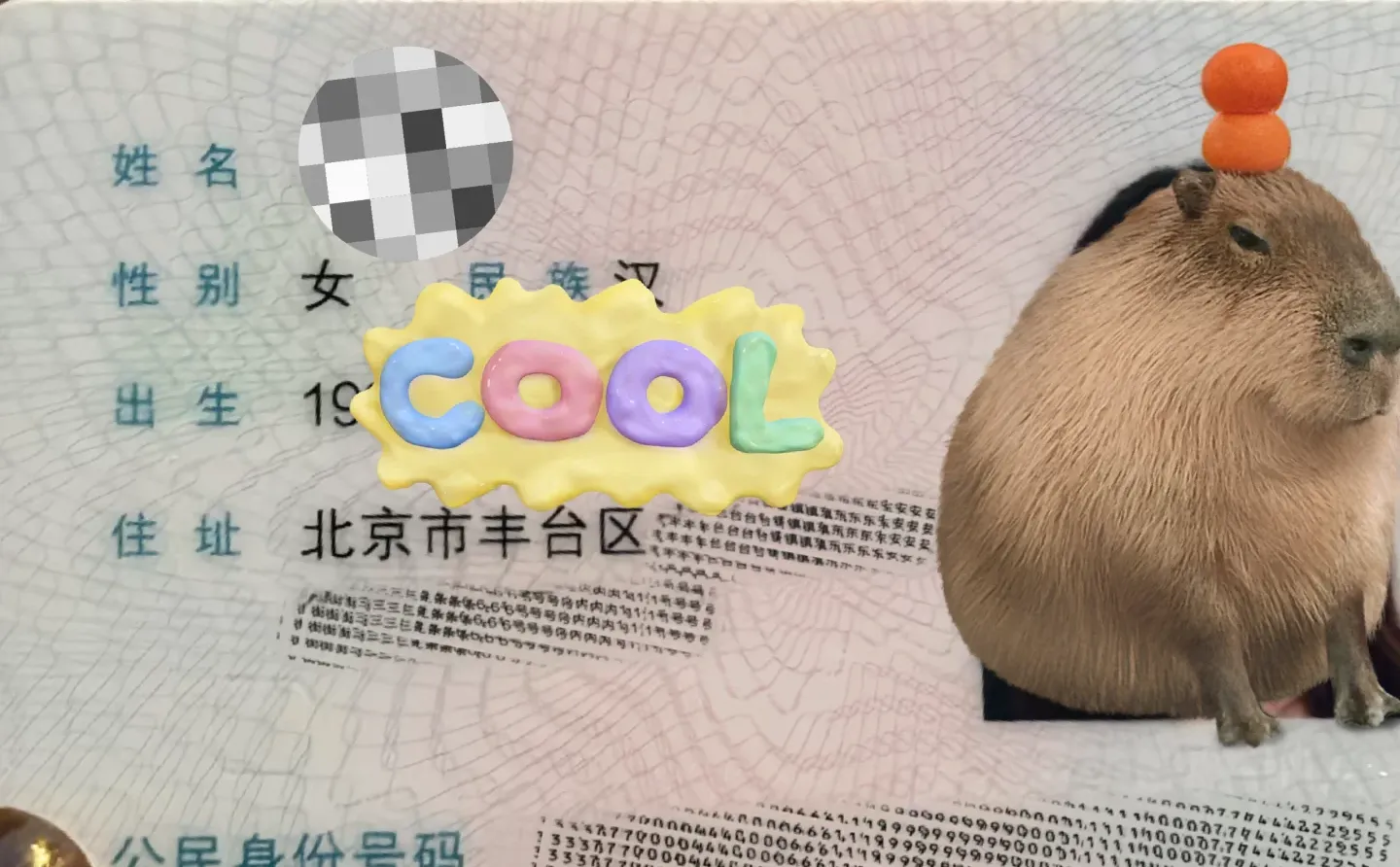 人才引进落户成功，不懂可以问我