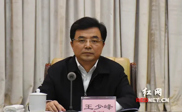 王少峰当选中国国际人才交流与开发研究会长