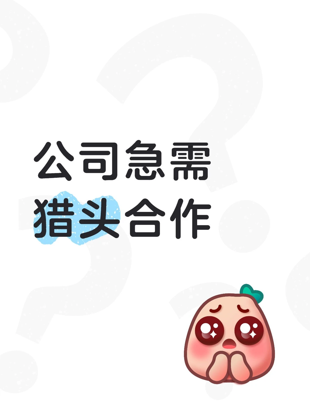 🌝招聘量巨大，寻猎头友方合作！