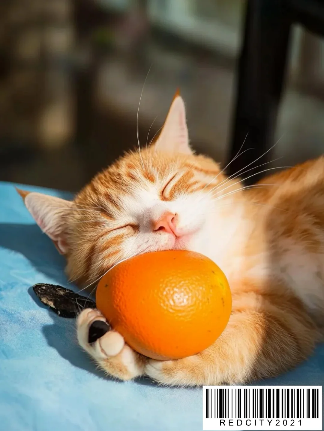 # 上海徐汇神仙国企实习✨人才发展岗