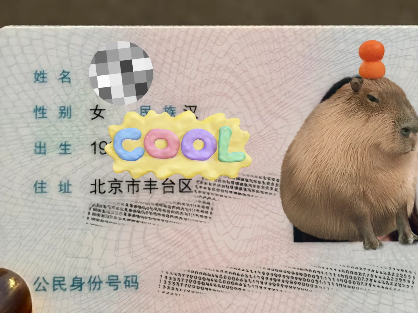 人才引进落户成功，不懂可以问我