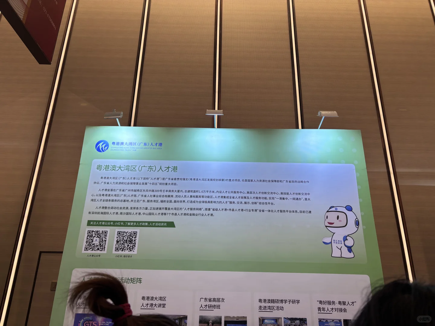 粤港澳大湾区人才港