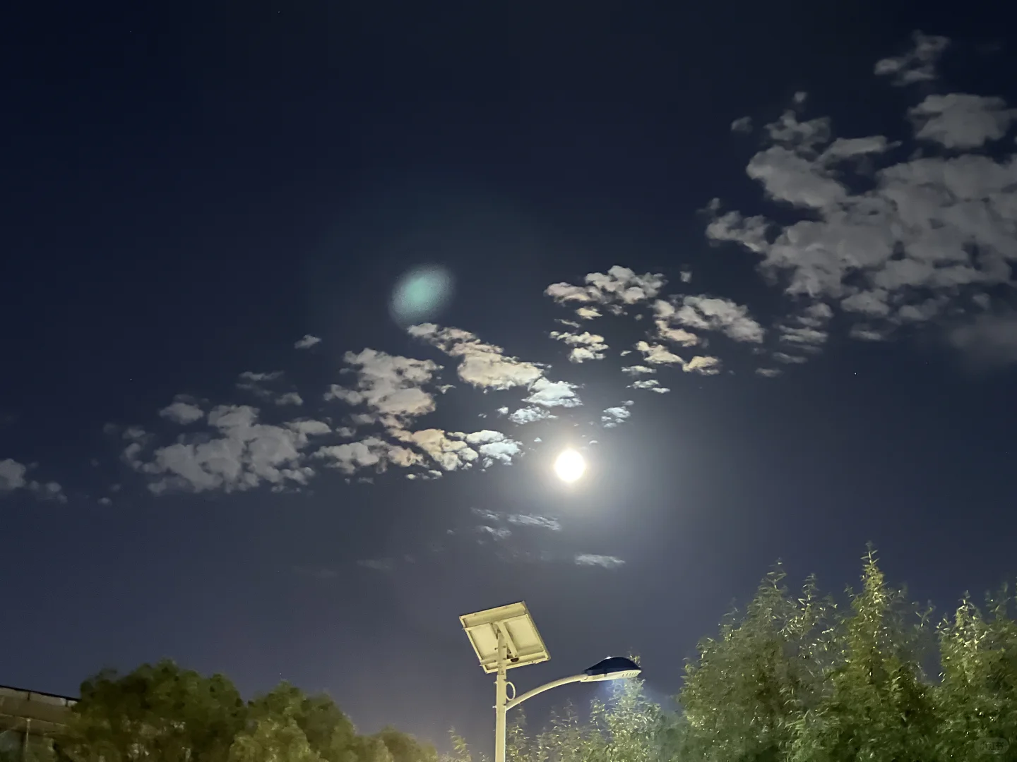 世界上“人才”真太多了