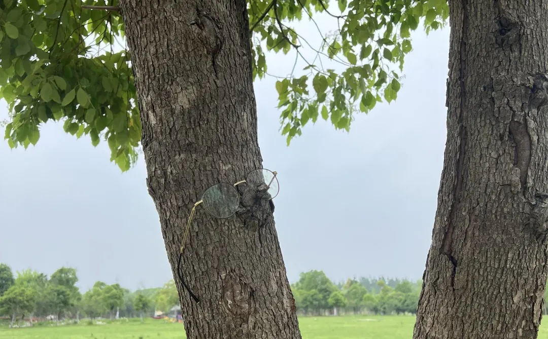 一个被通知裁员却硬是留下来了的女同事