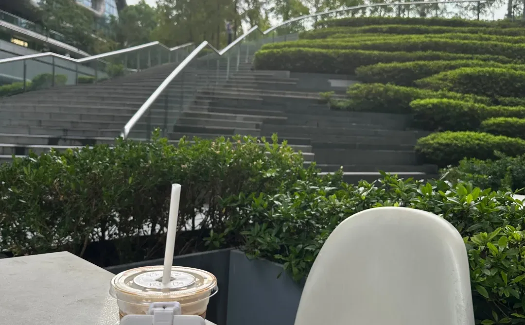 应届生骑驴找马拿offer全流程