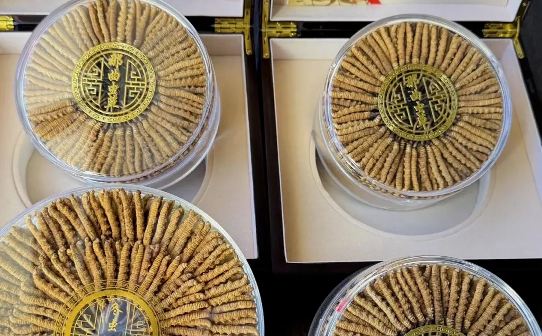 日拱一卒、功不唐捐