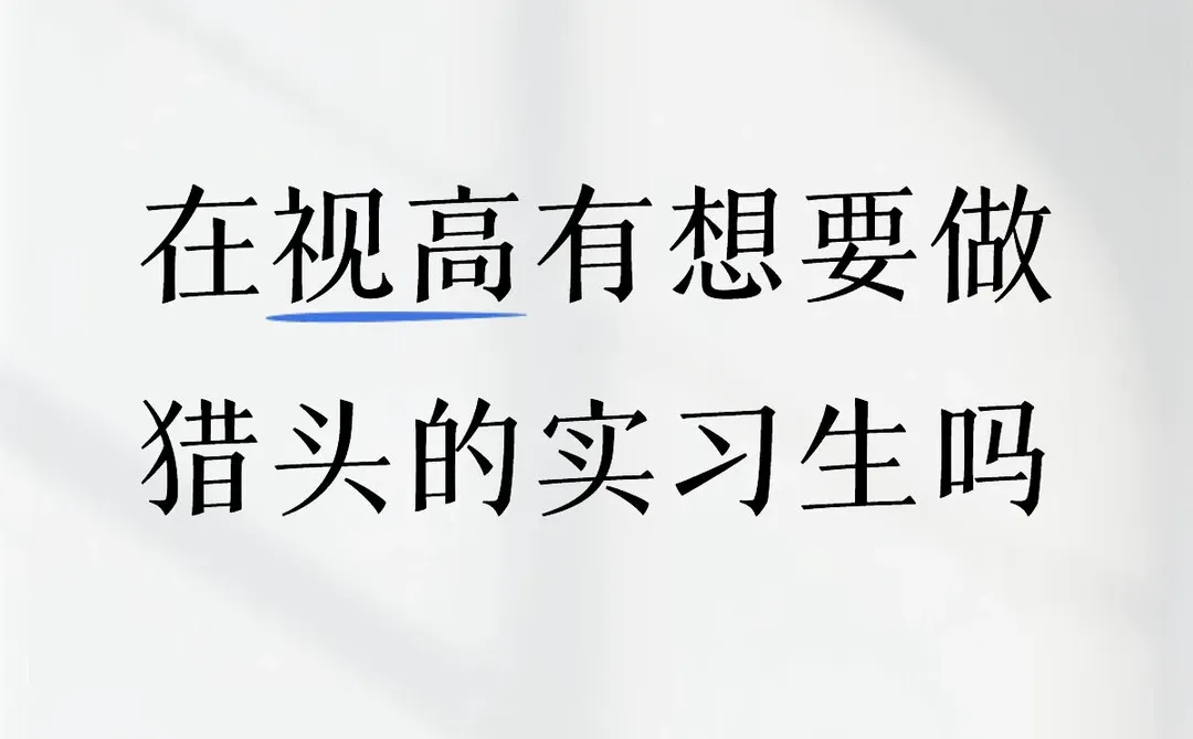 在视高有想要做猎头的实习生吗