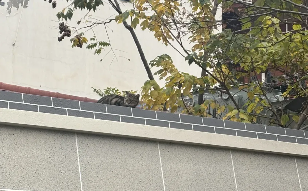 能够感知幸福的人才拥有幸福