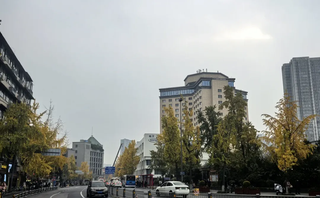 别只去宽窄巷子本地人才知道的桂花巷香疯了