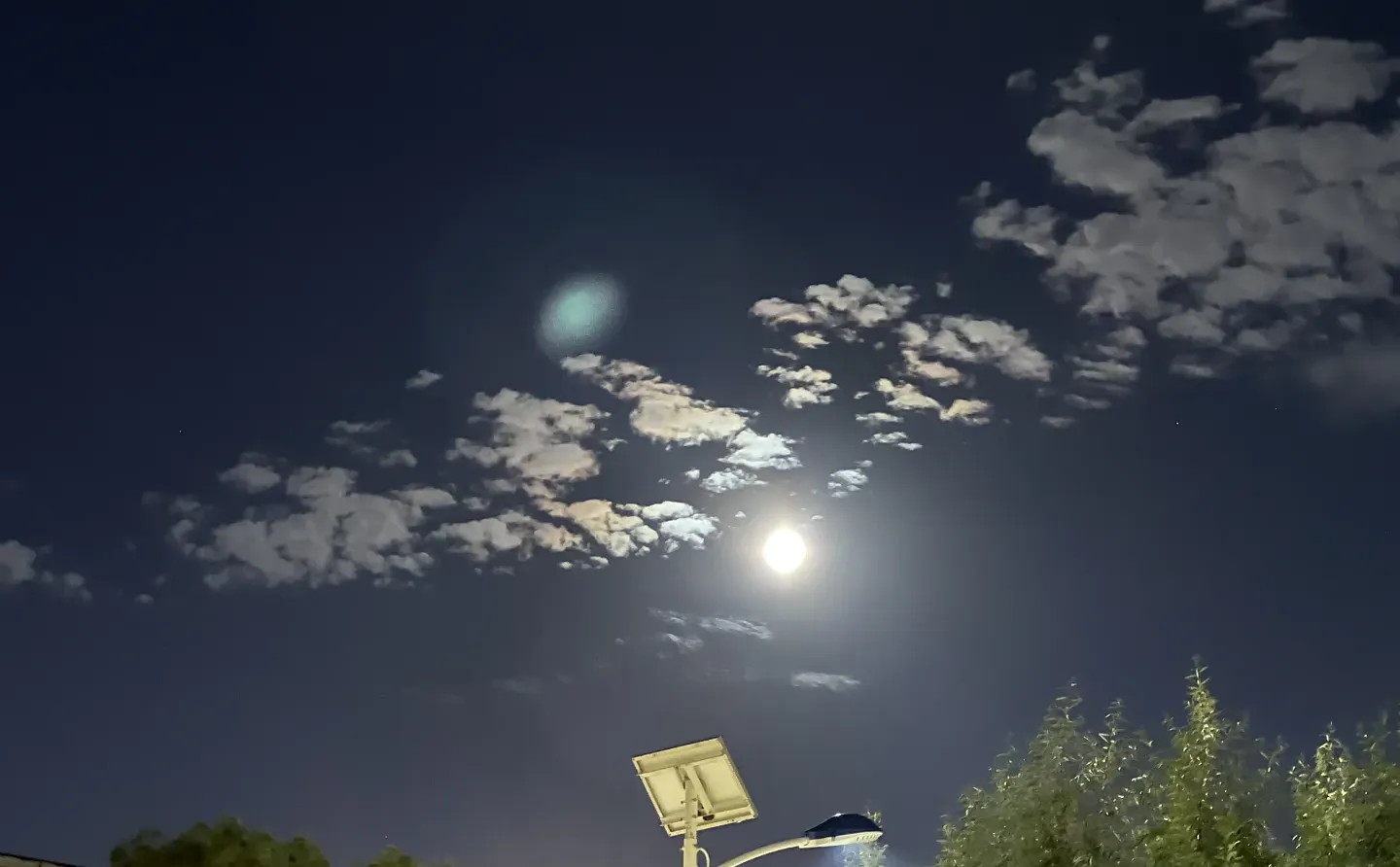 世界上“人才”真太多了