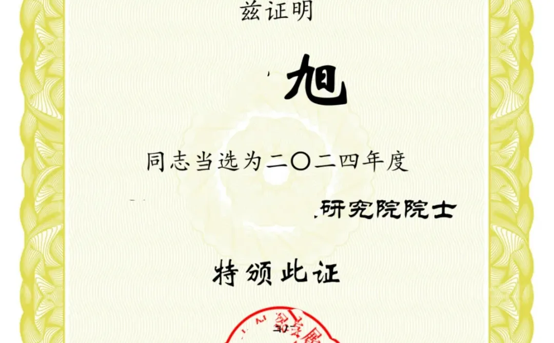 薅证第三百九十一本人才院院士证书