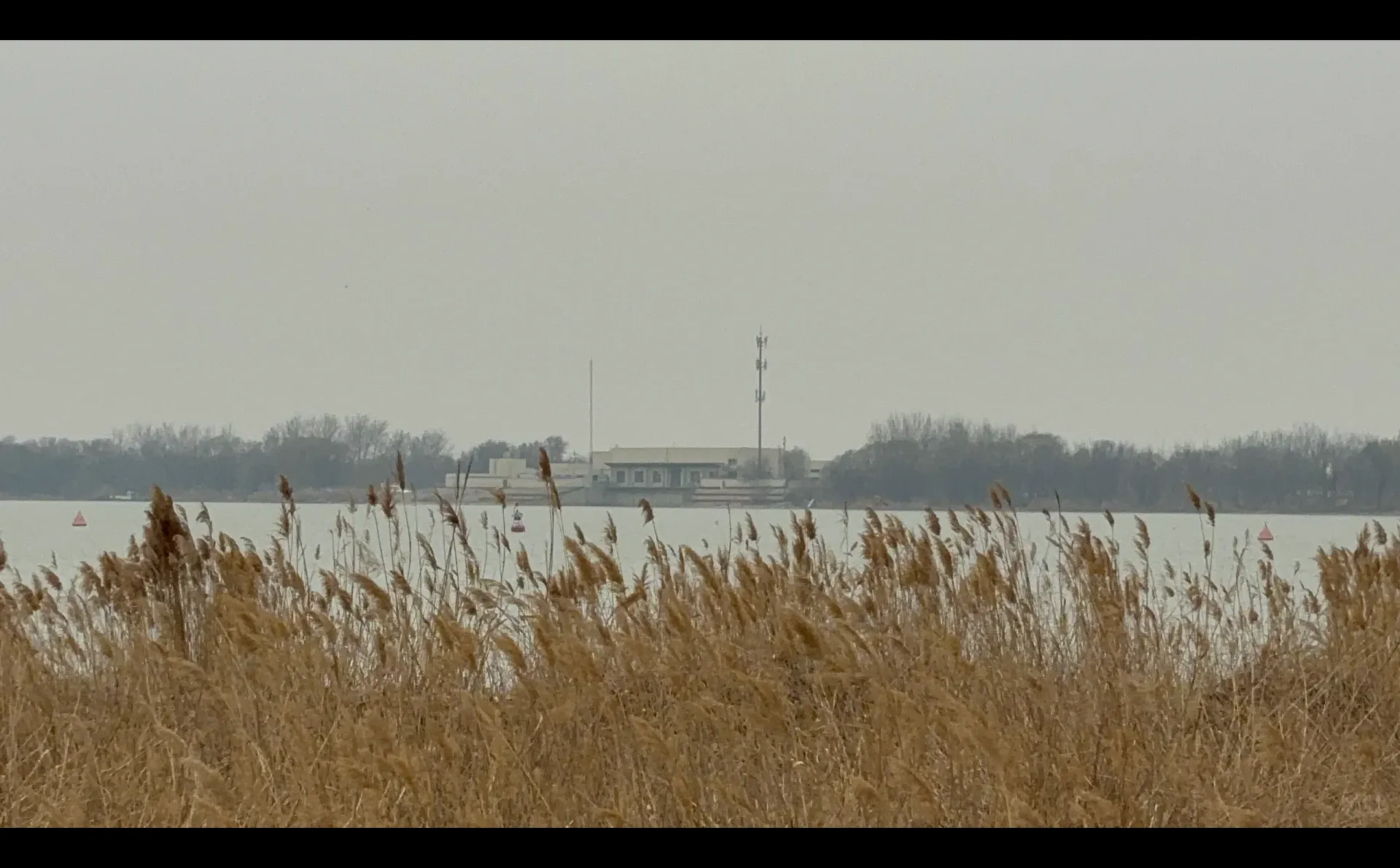 衡水有类似人才绿卡的东西吗？