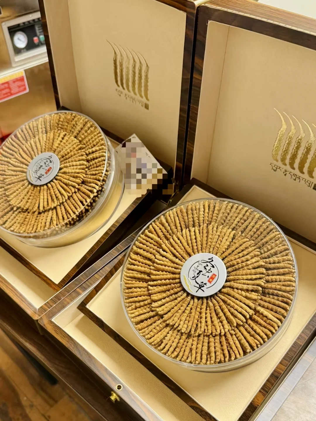 日拱一卒、功不唐捐