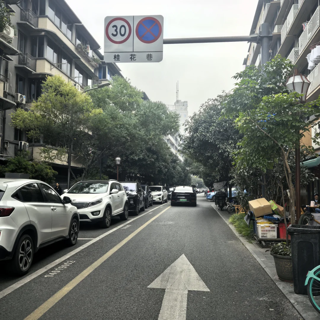 别只去宽窄巷子本地人才知道的桂花巷香疯了