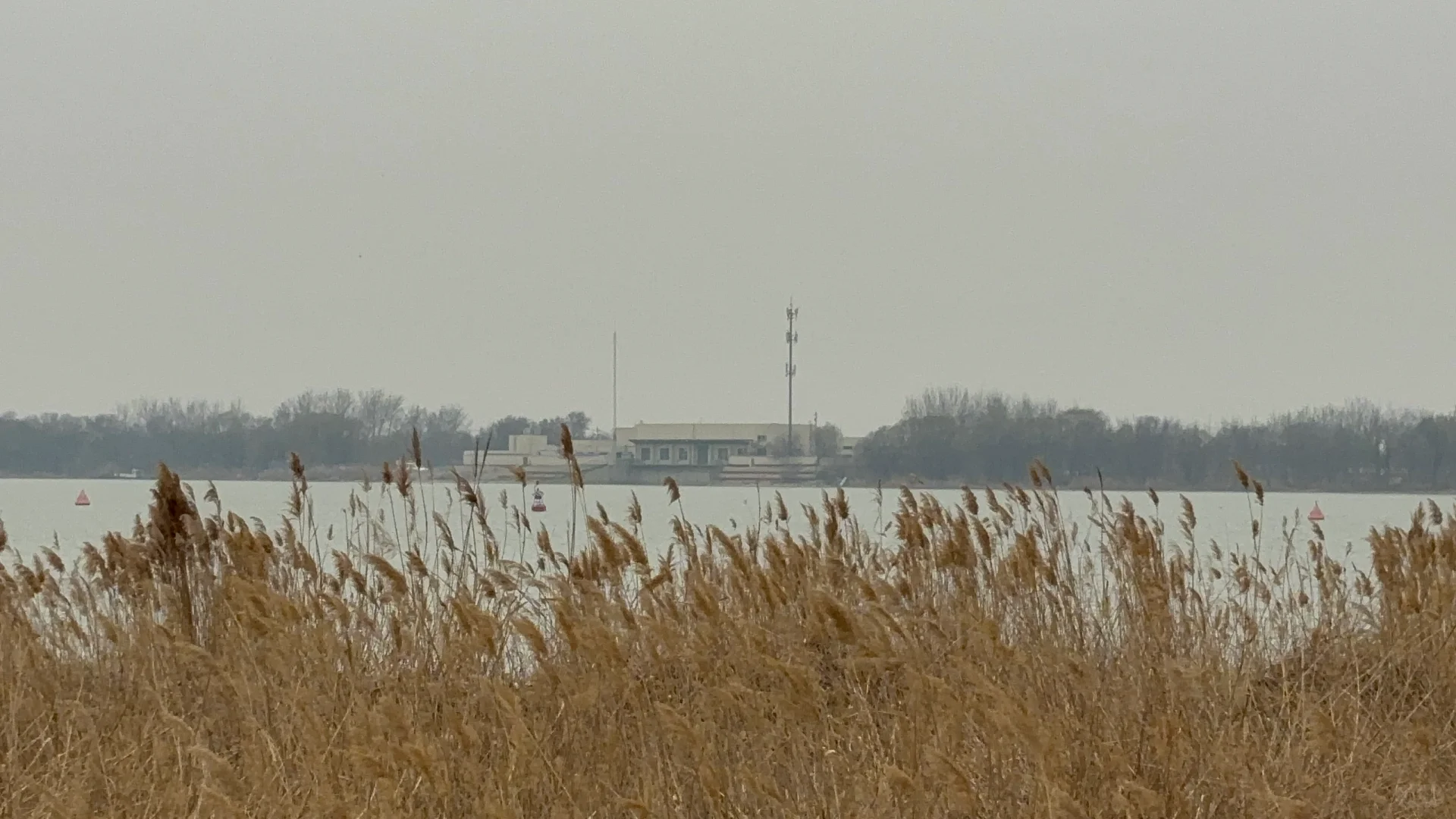 衡水有类似人才绿卡的东西吗？