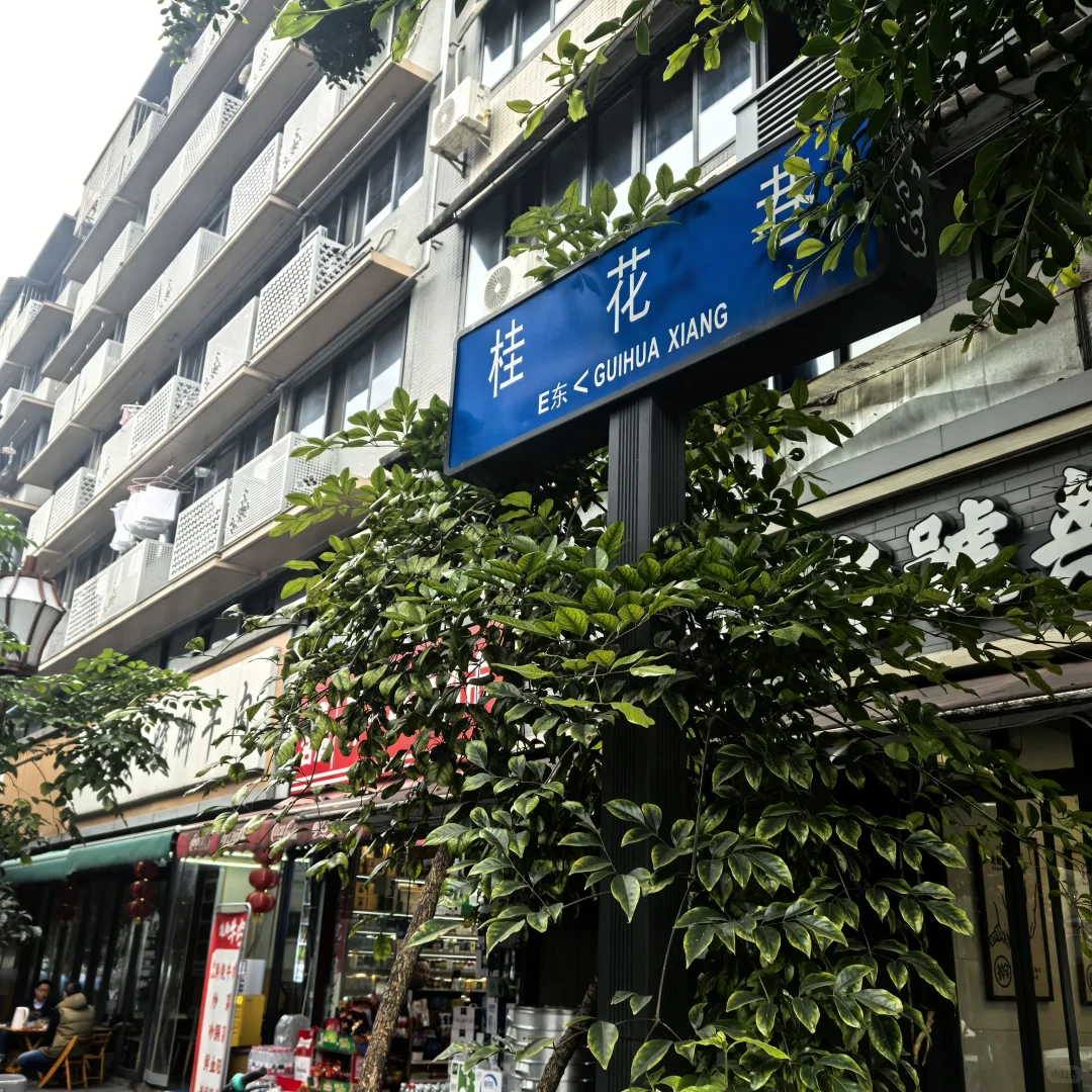别只去宽窄巷子本地人才知道的桂花巷香疯了