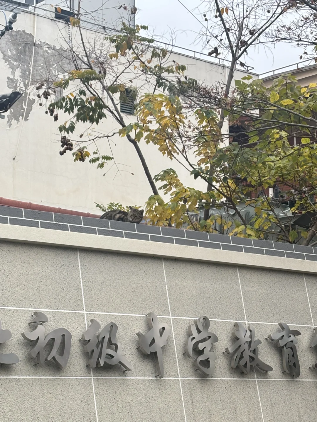 能够感知幸福的人才拥有幸福