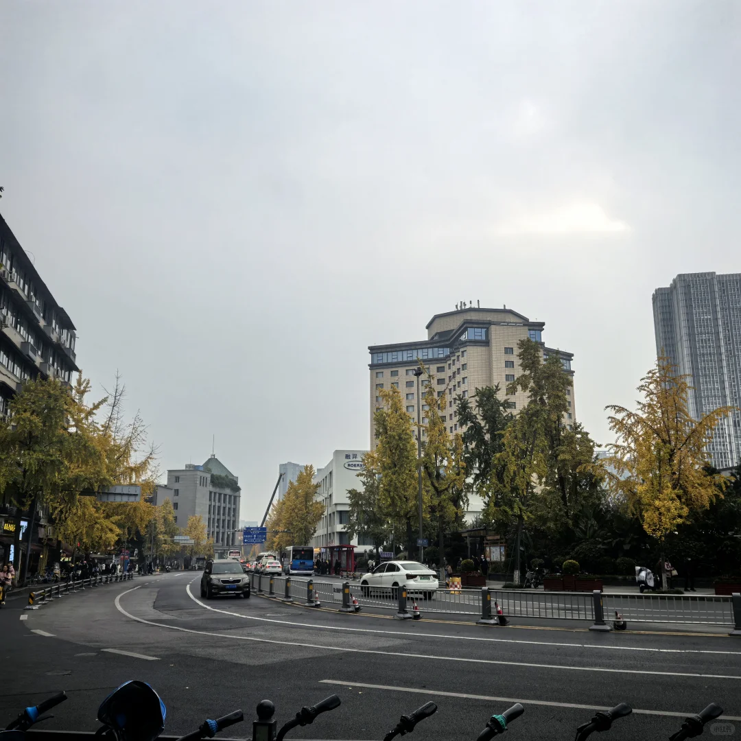 别只去宽窄巷子本地人才知道的桂花巷香疯了