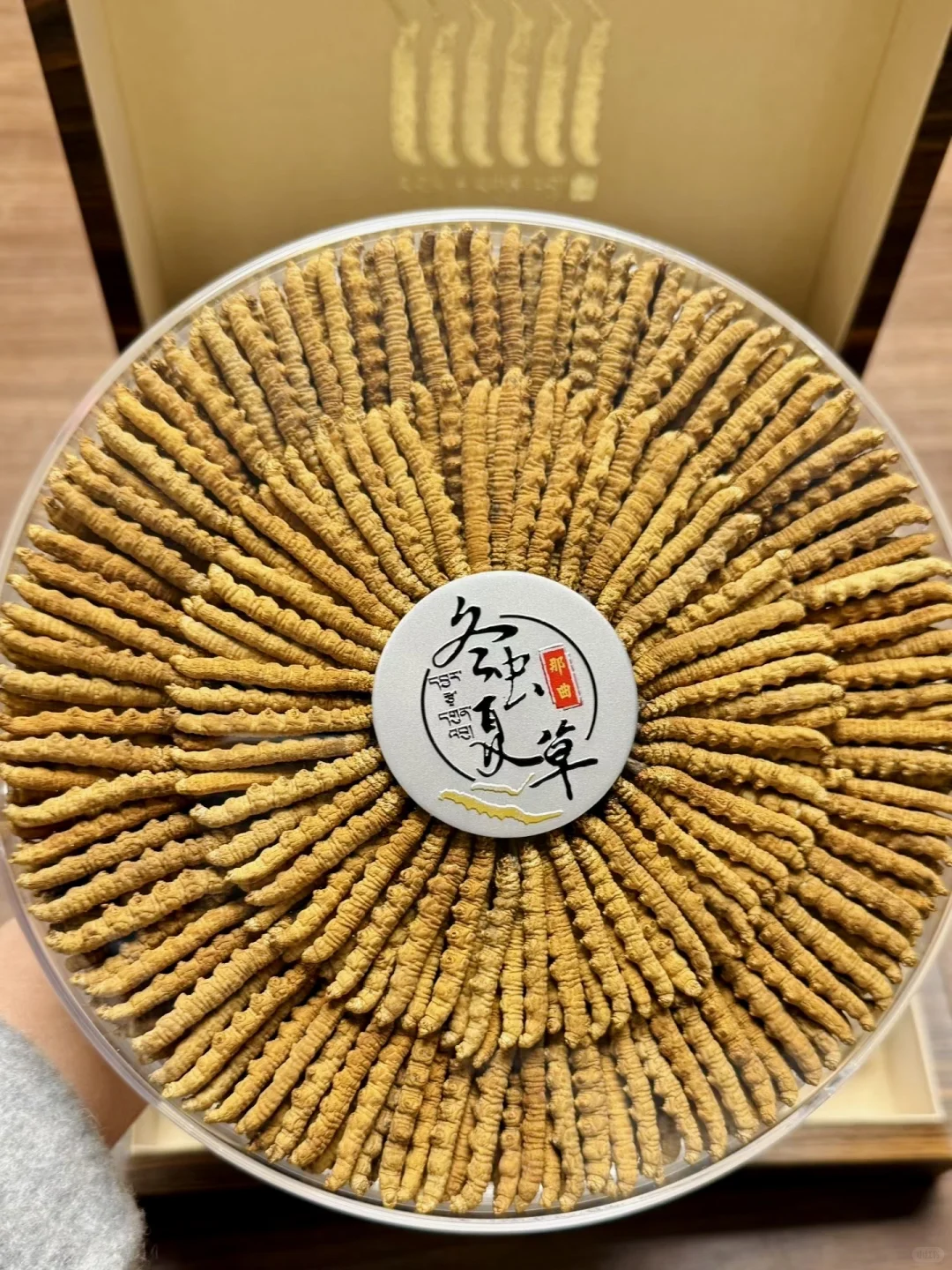 日拱一卒、功不唐捐