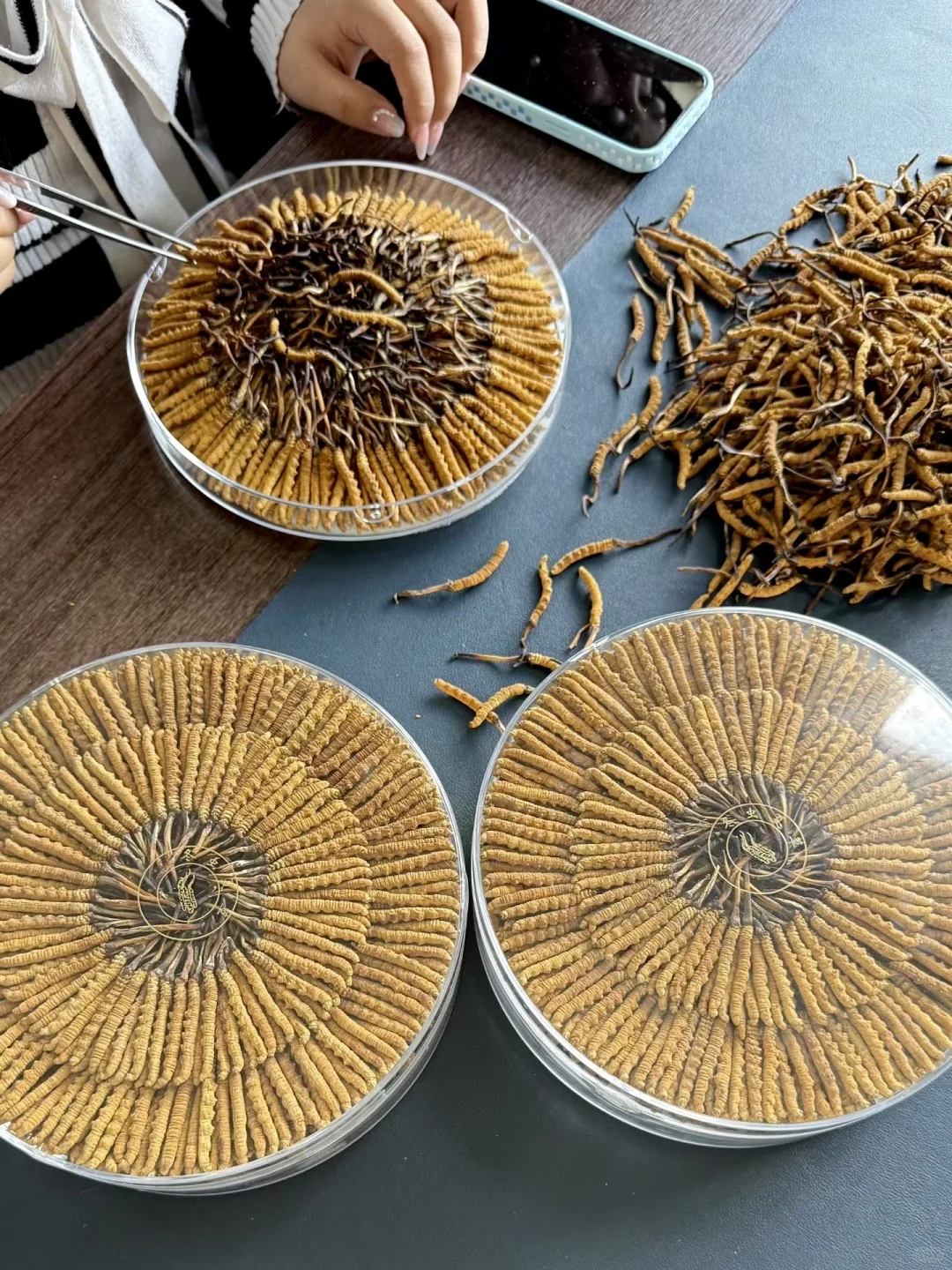 日拱一卒、功不唐捐