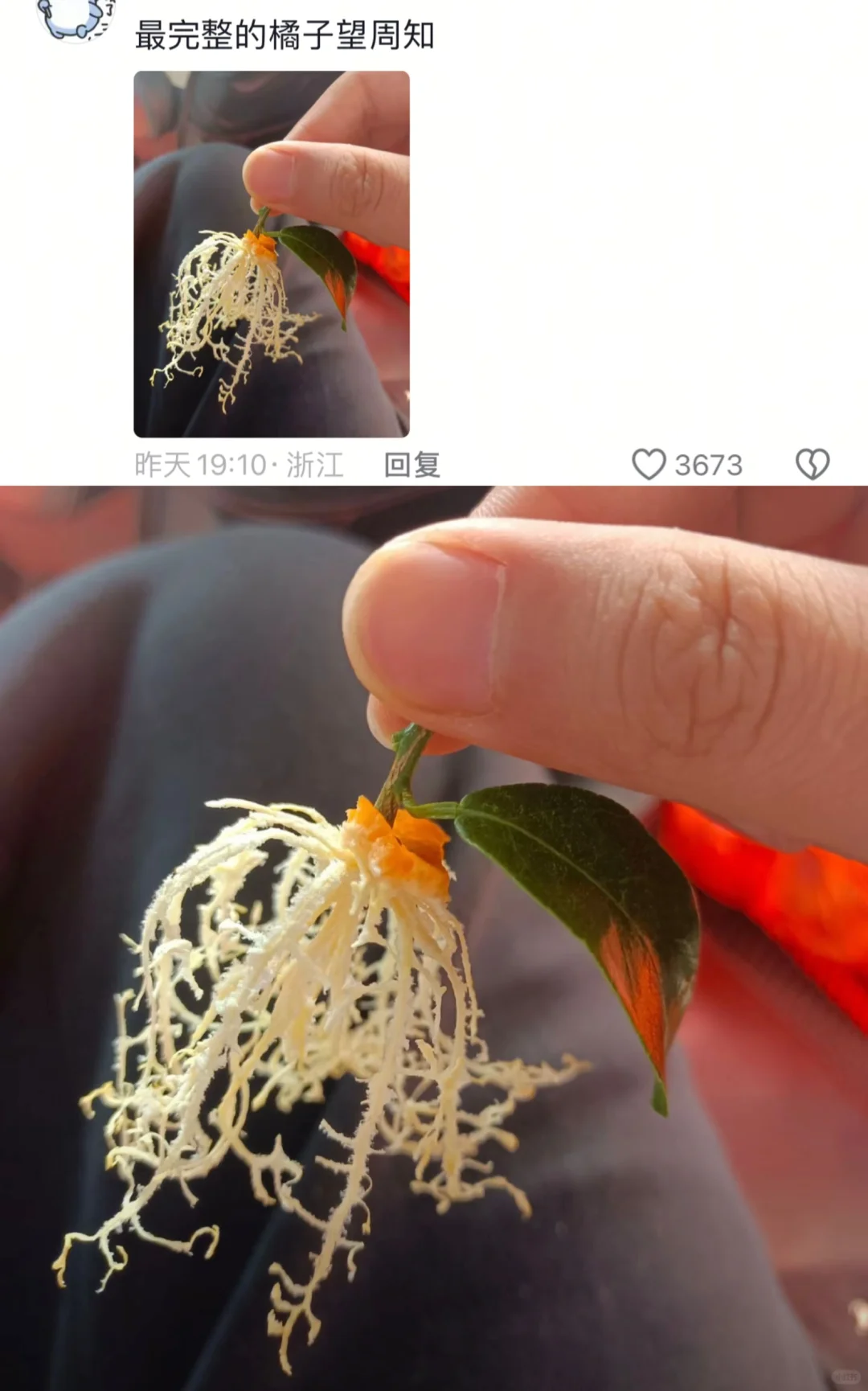 评论区真是人才辈出😳