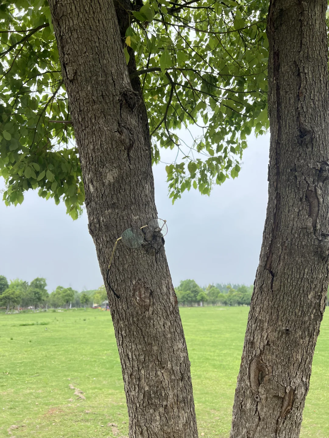 一个被通知裁员却硬是留下来了的女同事