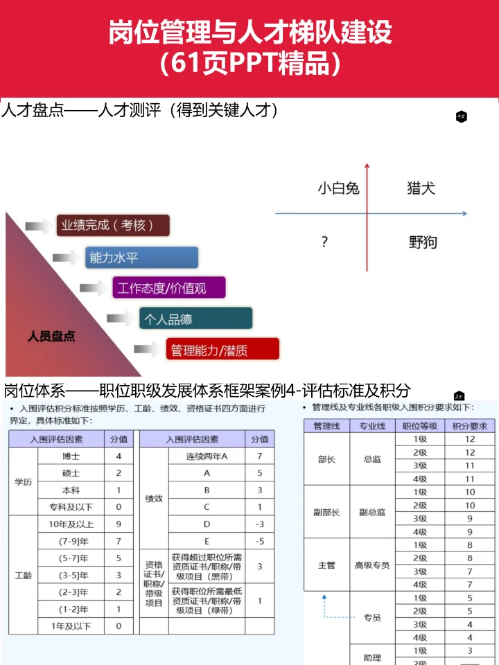 【HR必看】如何构建高效人才梯队？