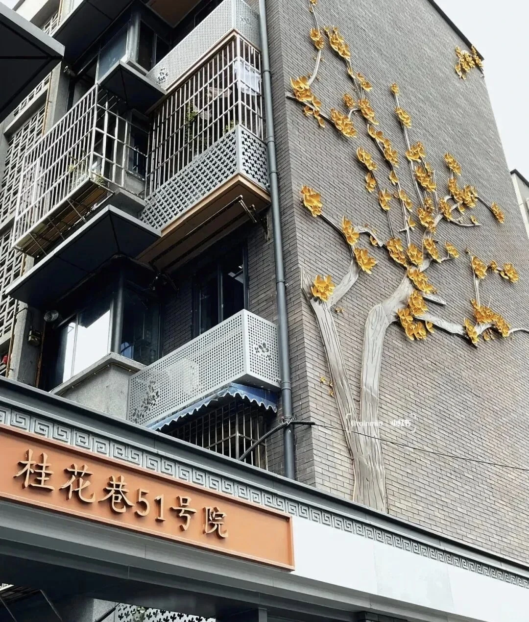 别只去宽窄巷子本地人才知道的桂花巷香疯了