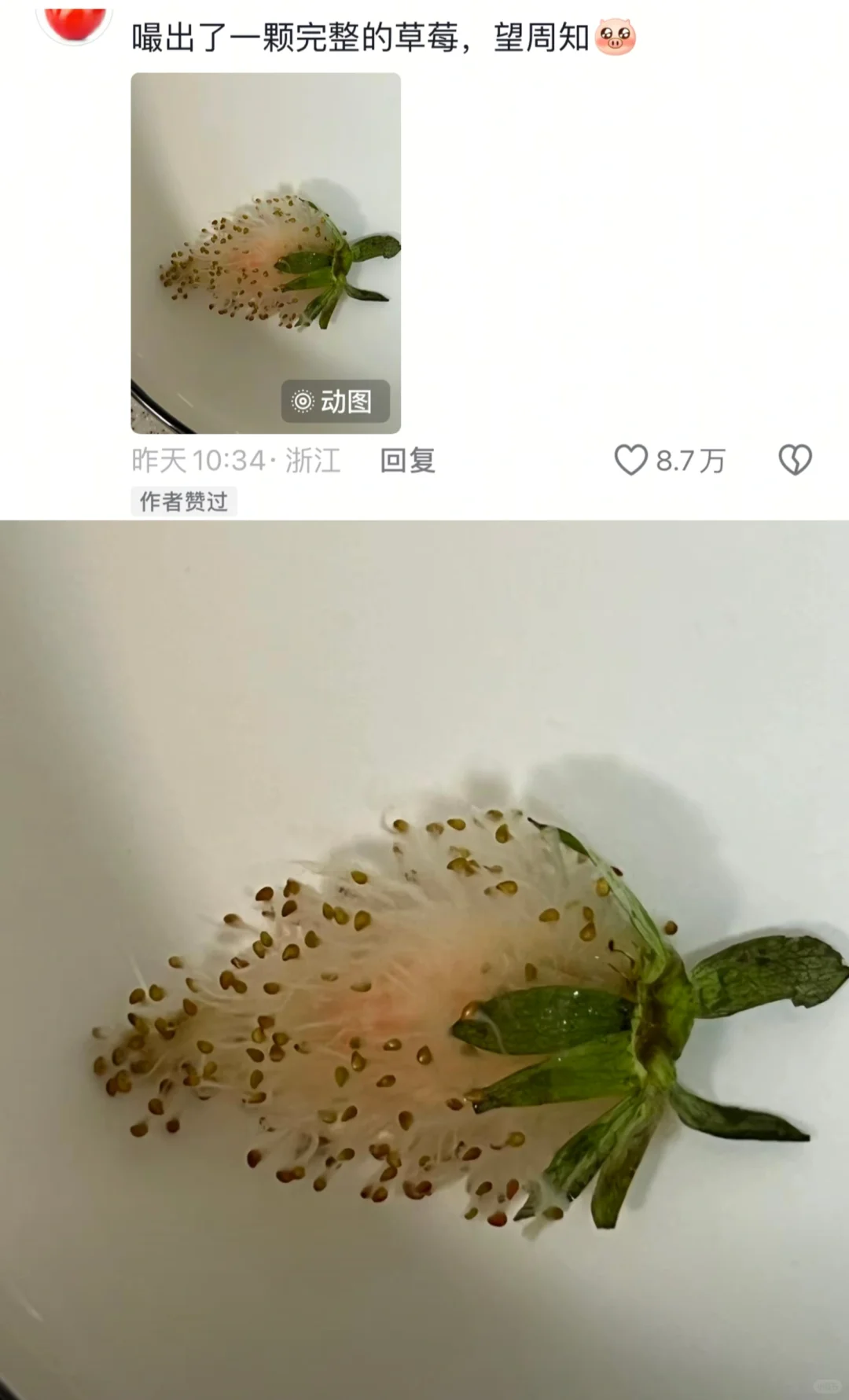 评论区真是人才辈出😳