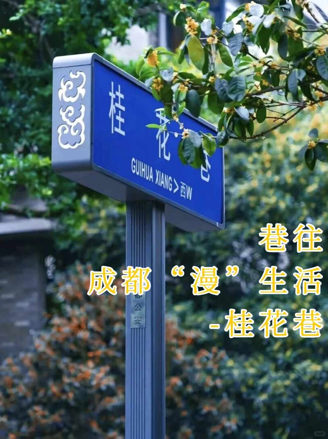别只去宽窄巷子本地人才知道的桂花巷香疯了