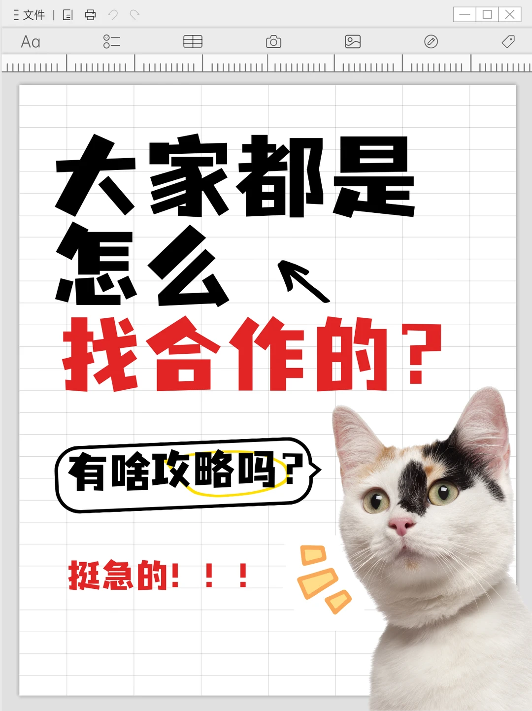 🌍 寻找北美/欧洲猎头合作伙伴