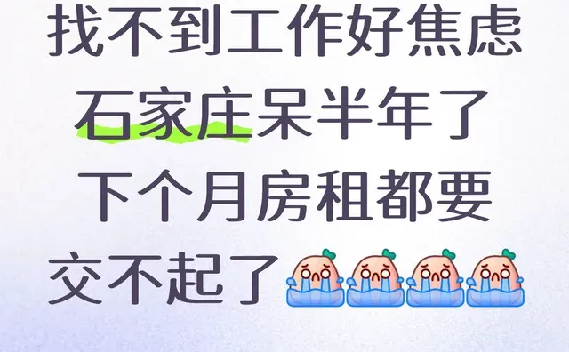 石家庄的好工作到底谁在上啊