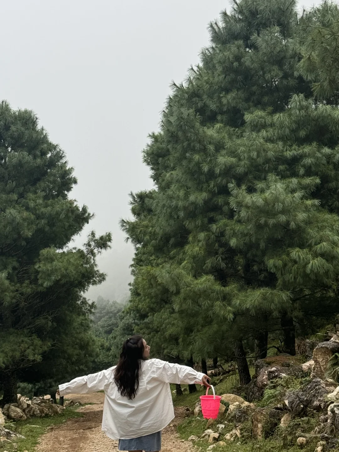 乡镇林业站工作日常｜在现实版的云边镇过秋