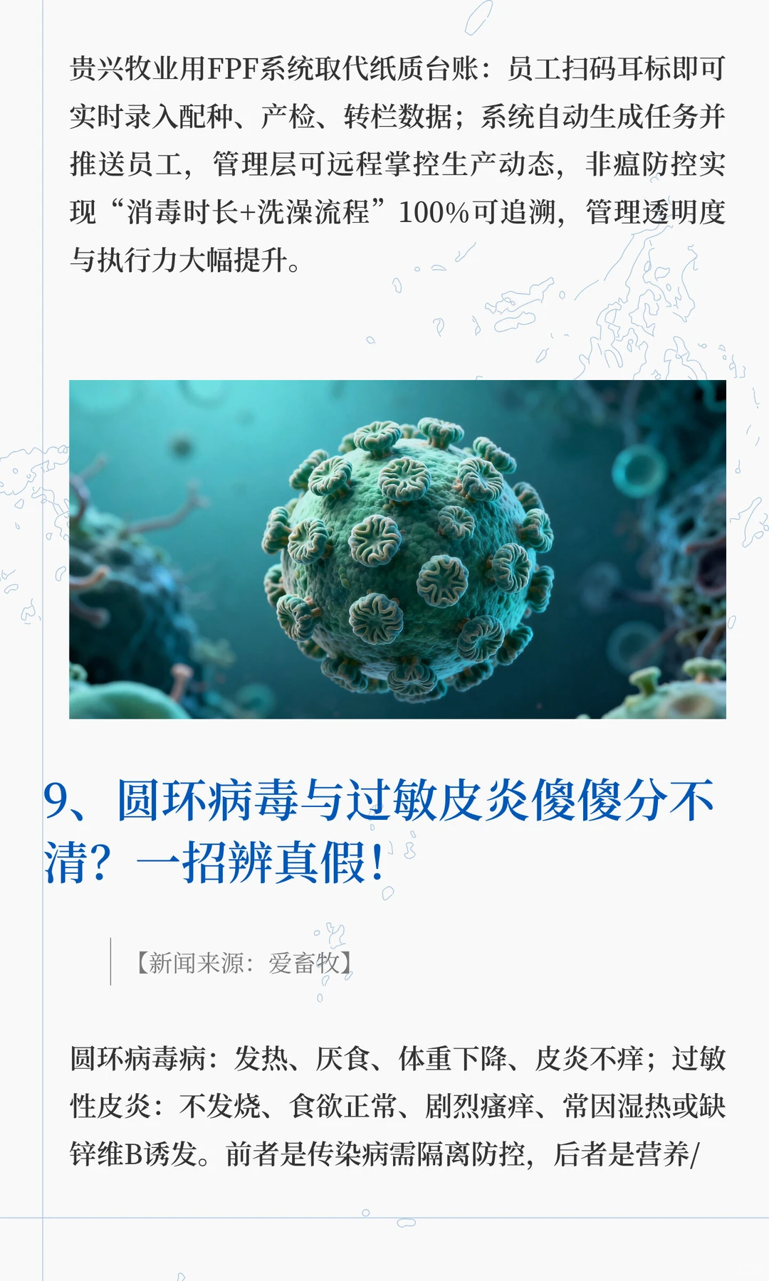 猪价刚反弹，屠宰场却悄悄压价？ 『生猪新