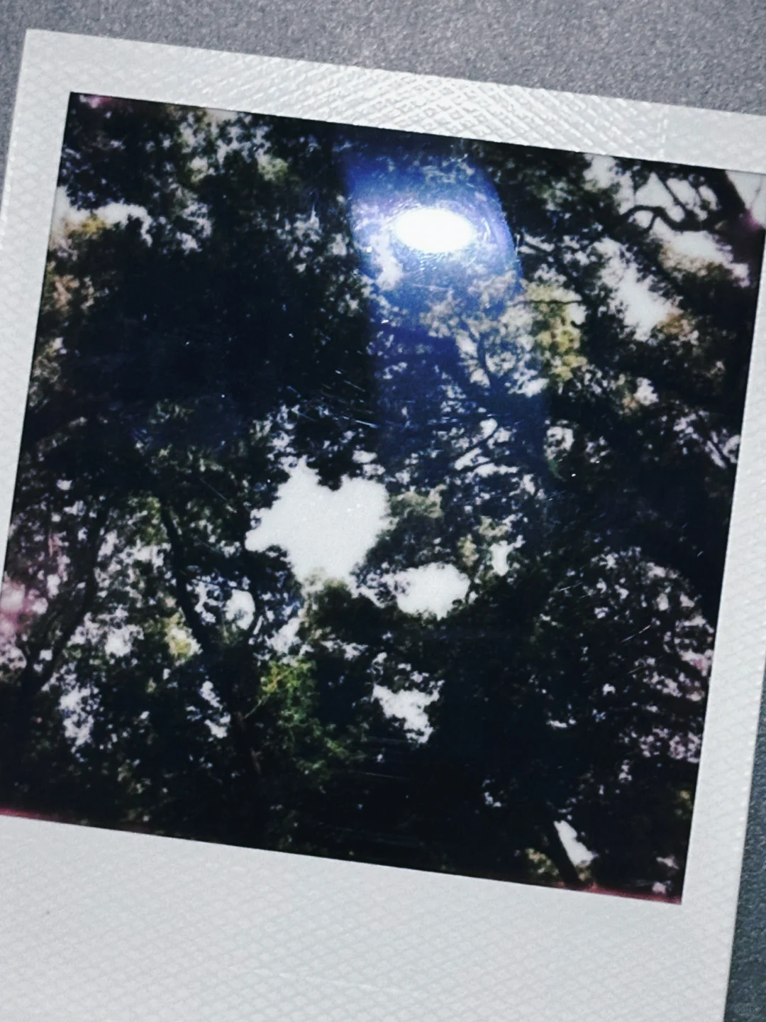 我在林学院失业但快乐的日子。