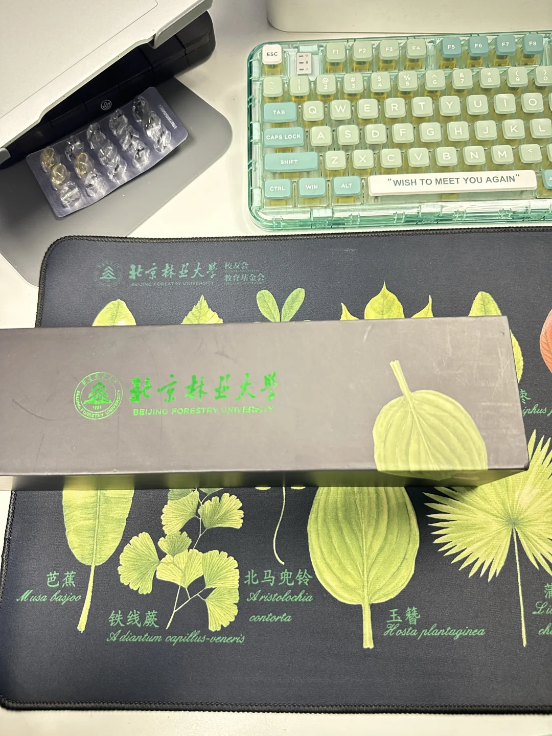 专属北林er的浪漫🍃