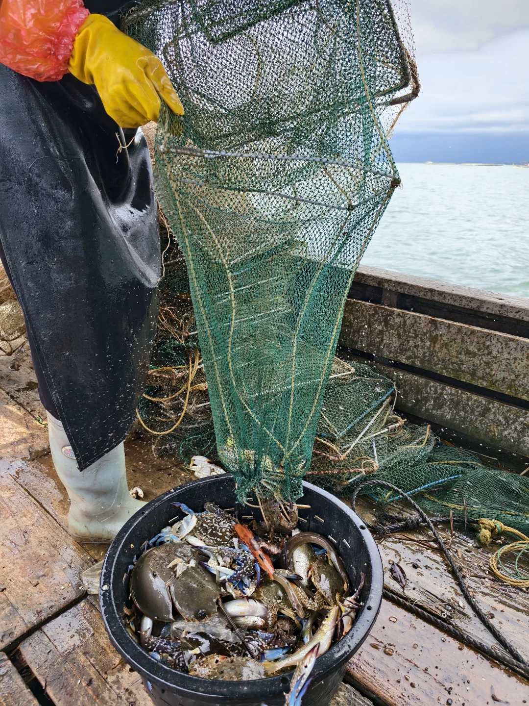 防城港渔夫体验🐟