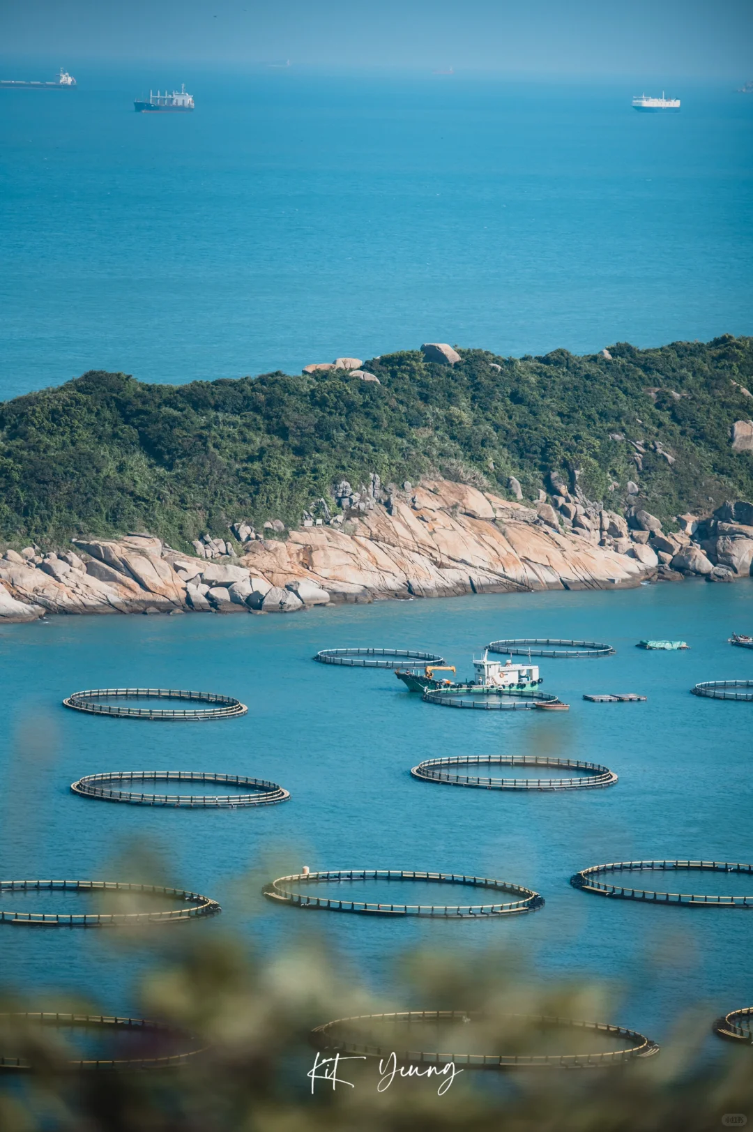 这里有海有山有鱼🌊🏝|桂山岛