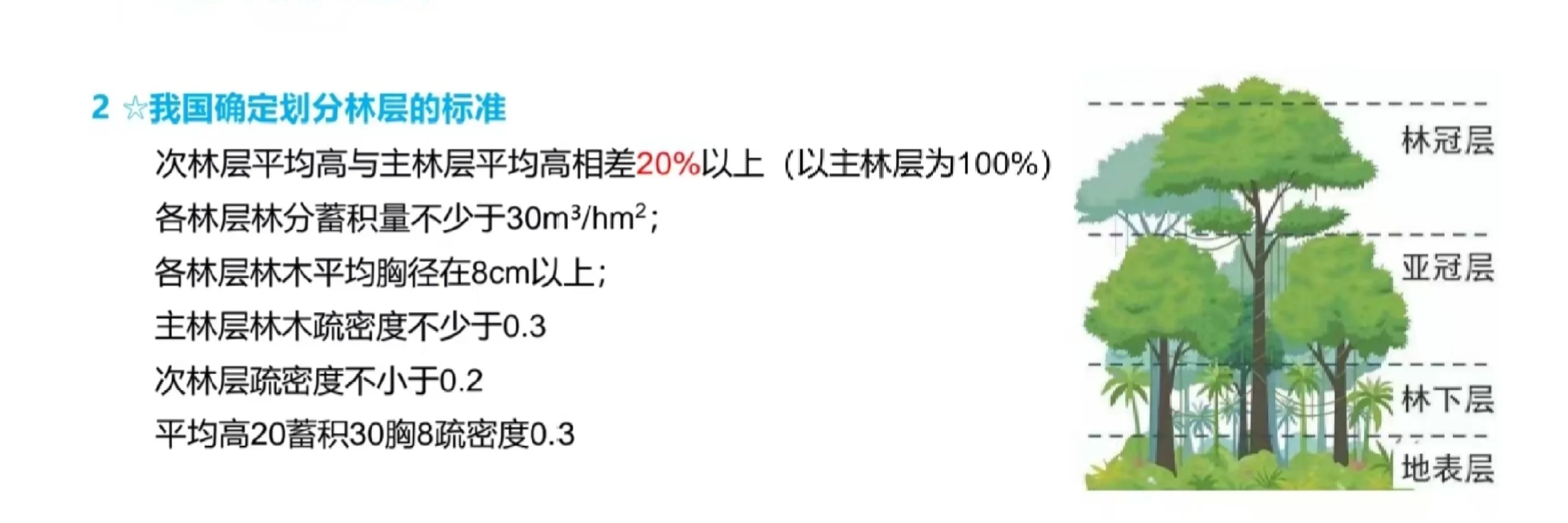 林层划分的标准