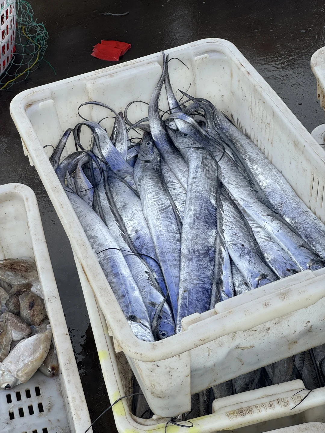 青岛‖积米崖满载而归的渔船，回来啦~