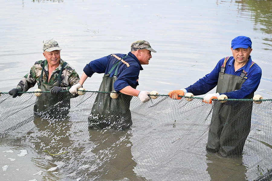 第三日探索：探秘善琏鱼塘 奏响渔牧新章