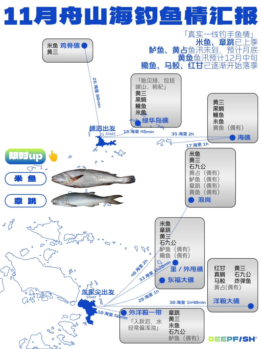 11月舟山海钓鱼情分享👀/Deepfish