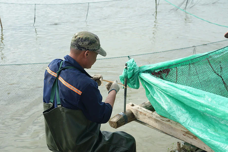 第三日探索：探秘善琏鱼塘 奏响渔牧新章